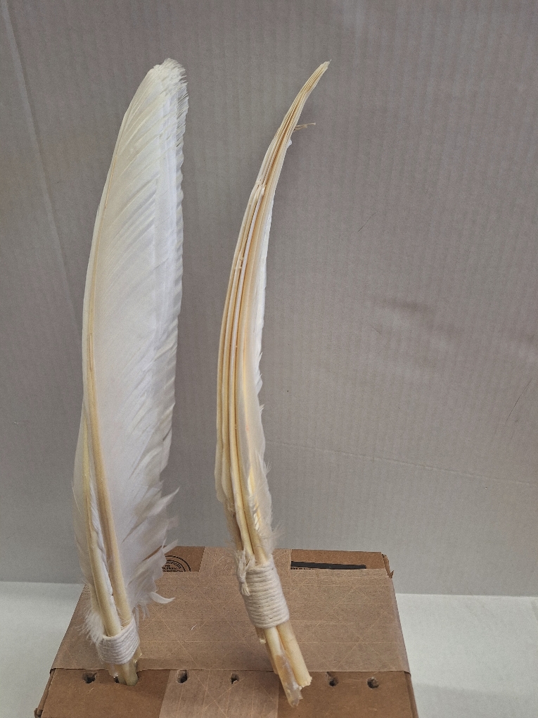 Turkey Feathers - Dyed, Quill & Fluff Feathers For Sale